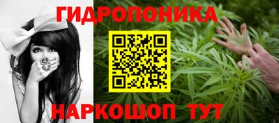 ГАЛЛЮЦИНОГЕННЫЕ ГРИБЫ Краснодар