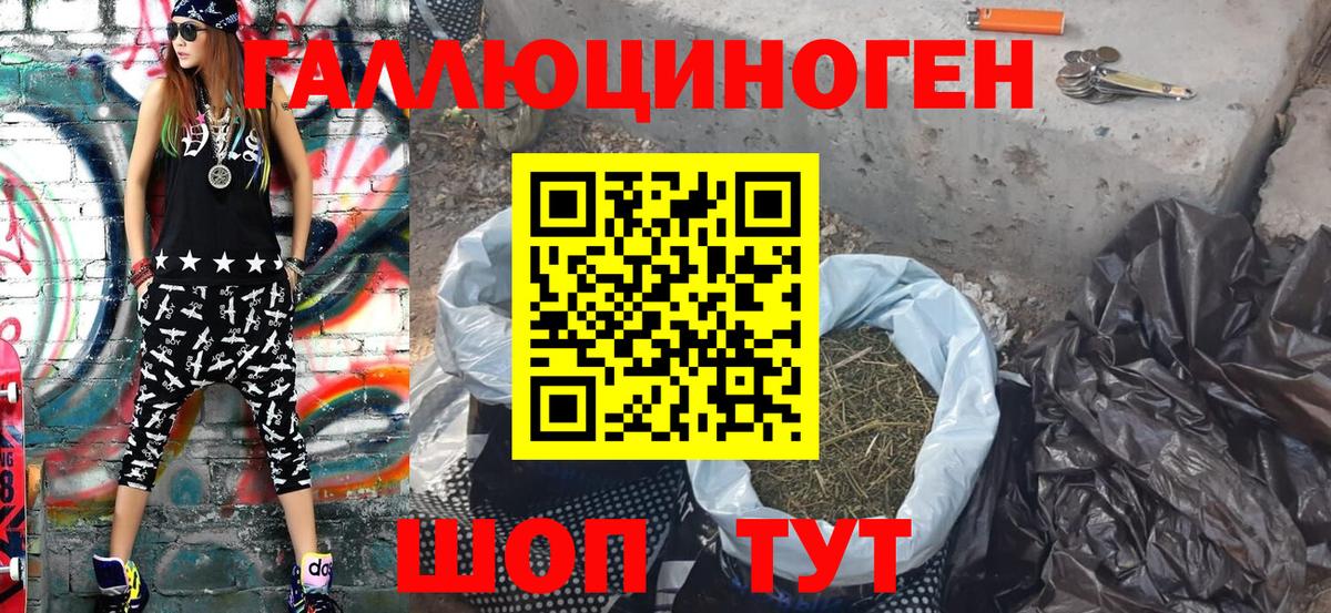 Чайковский  Галлюциногенные грибы ЛСД  Вход с VPN  Псилоцибиновые грибы прущие грибы 